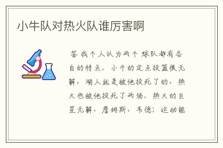 小牛队对热火队谁厉害啊