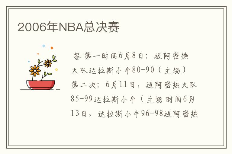 2006年NBA总决赛