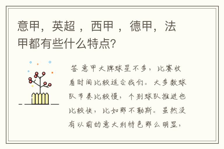 意甲,英超 ,西甲 ,德甲,法甲都有些什么特点?
