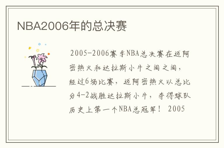 NBA2006年的总决赛