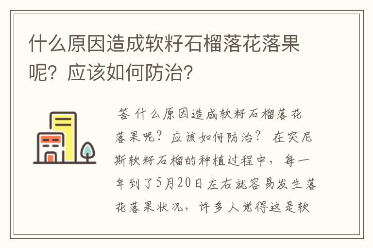 什么原因造成软籽石榴落花落果呢?应该如何防治?