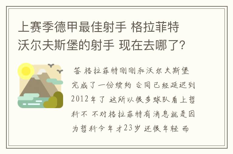 上赛季德甲最佳射手 格拉菲特 沃尔夫斯堡的射手 现在去哪了?