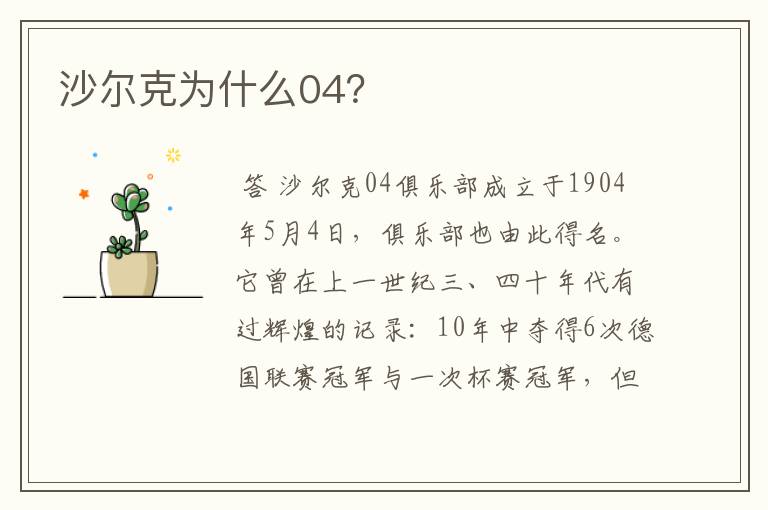 沙尔克为什么04?