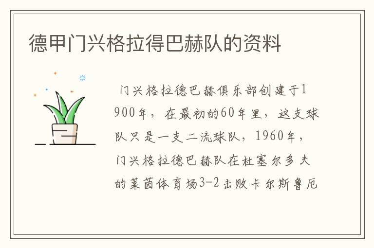 德甲门兴格拉得巴赫队的资料