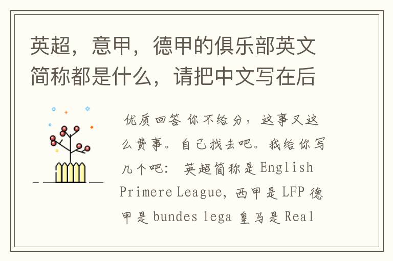 英超,意甲,德甲的俱乐部英文简称都是什么,请把中文写在后面