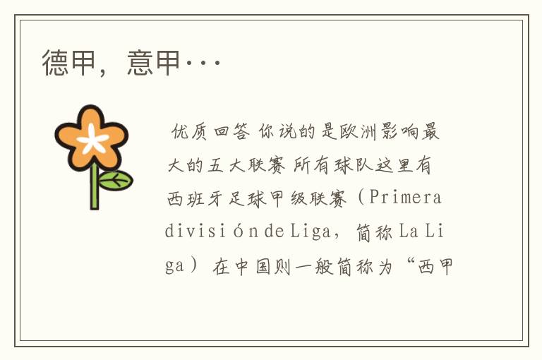 德甲,意甲···