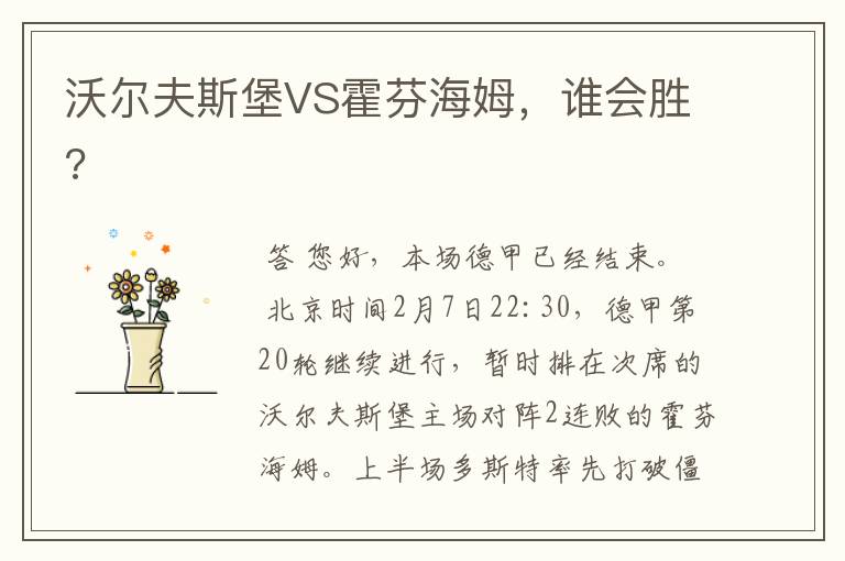沃尔夫斯堡VS霍芬海姆,谁会胜?