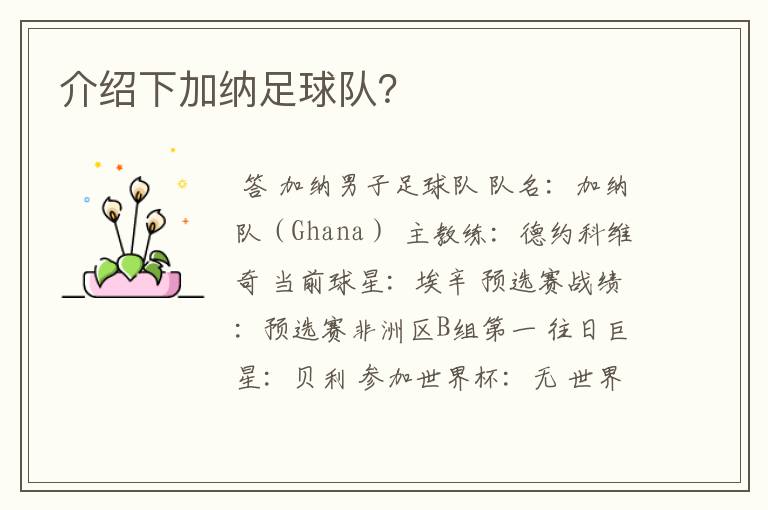 介绍下加纳足球队?