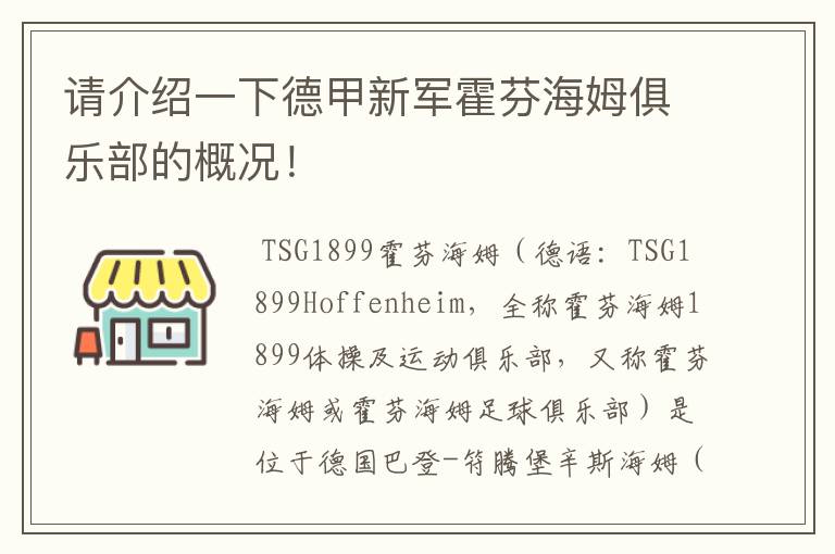 请介绍一下德甲新军霍芬海姆俱乐部的概况!
