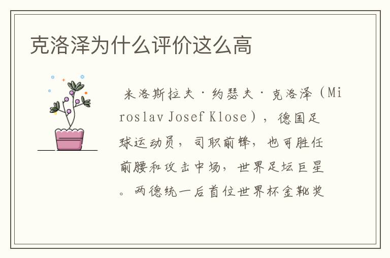 克洛泽为什么评价这么高