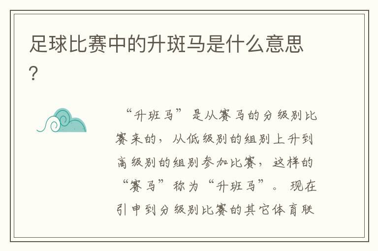 足球比赛中的升斑马是什么意思?