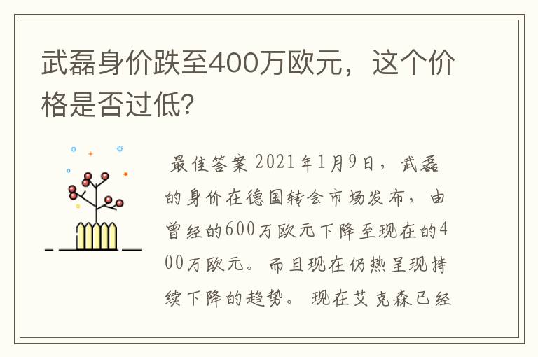 武磊身价跌至400万欧元,这个价格是否过低?