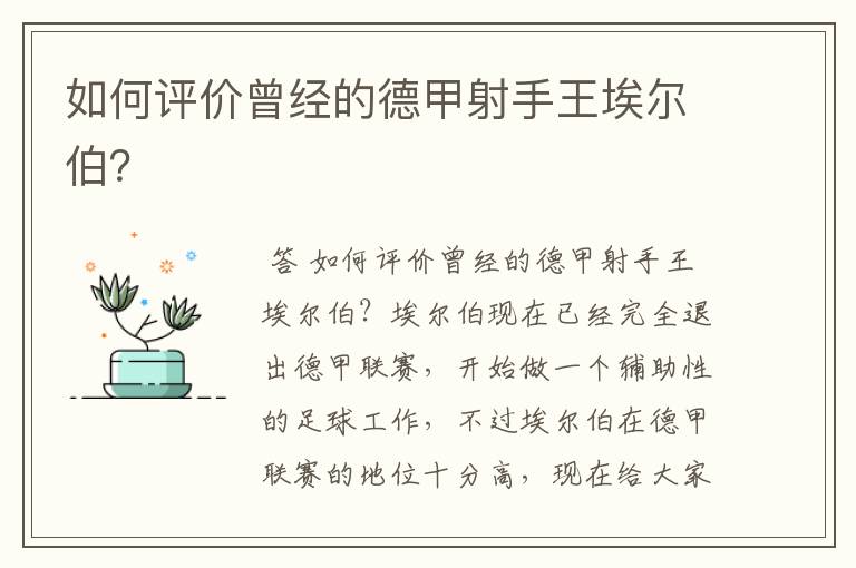 如何评价曾经的德甲射手王埃尔伯?