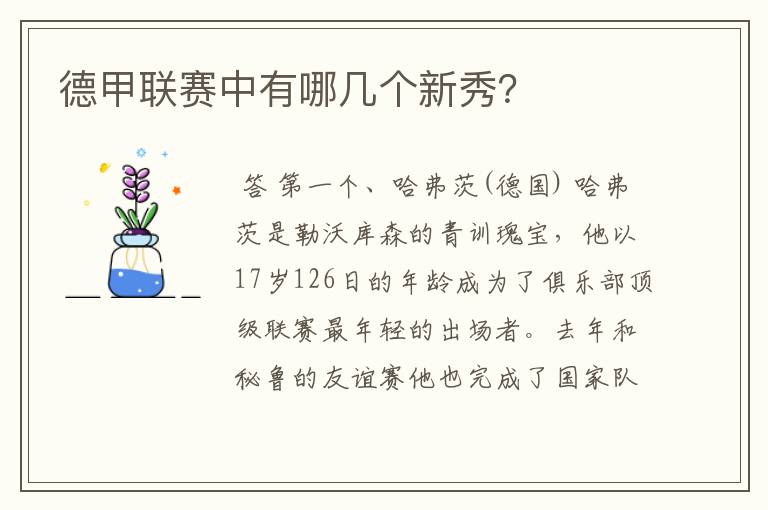 德甲联赛中有哪几个新秀?