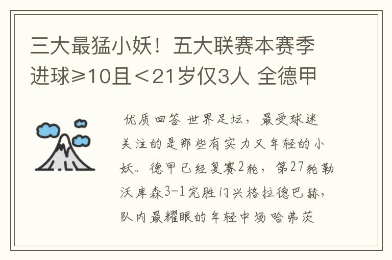 三大最猛小妖!五大联赛本赛季进球≥10且<21岁仅3人 全德甲制造