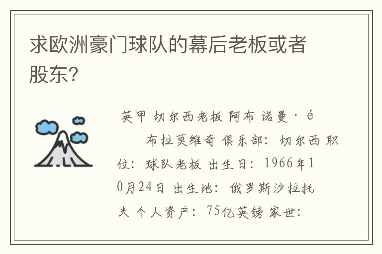 求欧洲豪门球队的幕后老板或者股东?