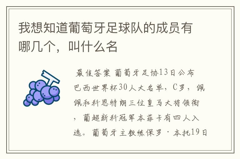 我想知道葡萄牙足球队的成员有哪几个,叫什么名