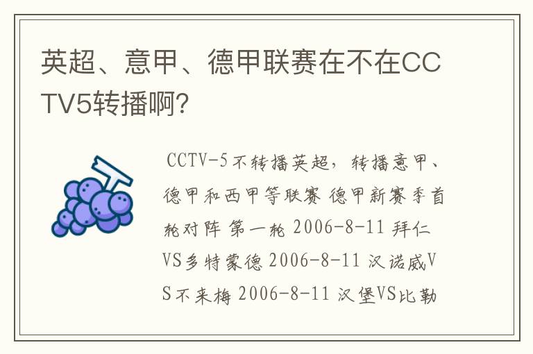 英超、意甲、德甲联赛在不在CCTV5转播啊?