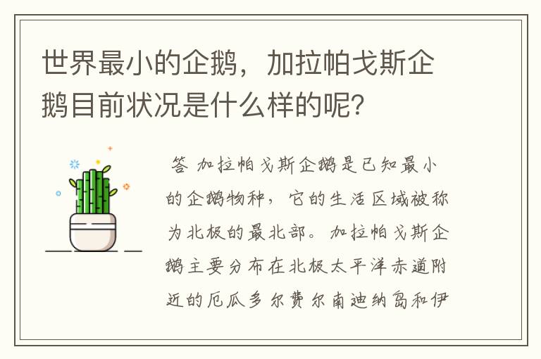 世界最小的企鹅,加拉帕戈斯企鹅目前状况是什么样的呢?