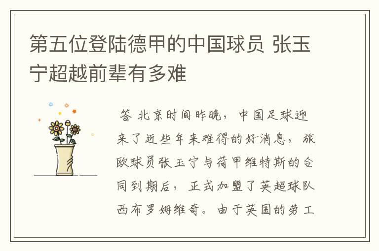 第五位登陆德甲的中国球员 张玉宁超越前辈有多难