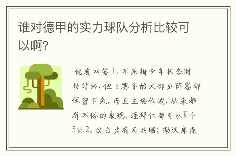 谁对德甲的实力球队分析比较可以啊?