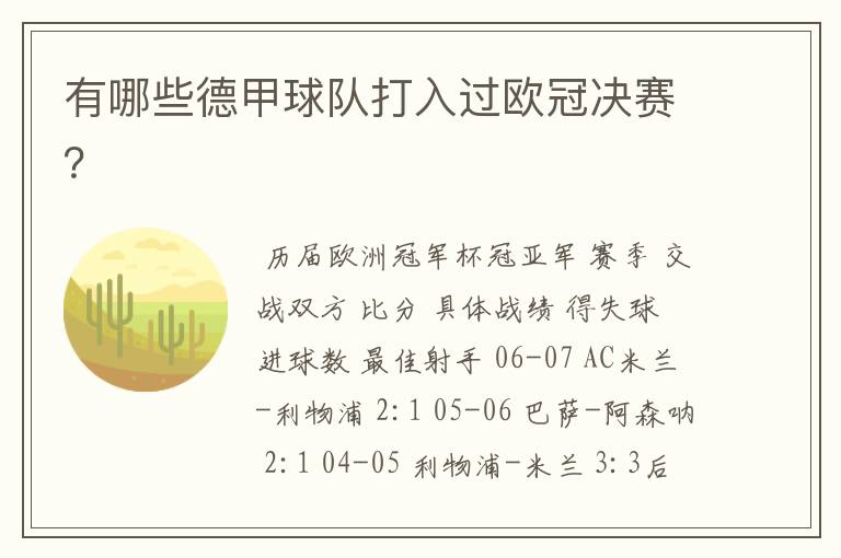 有哪些德甲球队打入过欧冠决赛?