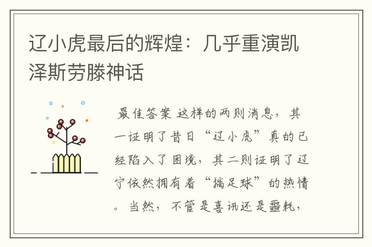 辽小虎最后的辉煌:几乎重演凯泽斯劳滕神话
