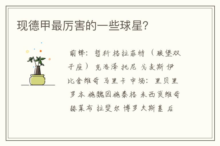 现德甲最厉害的一些球星?