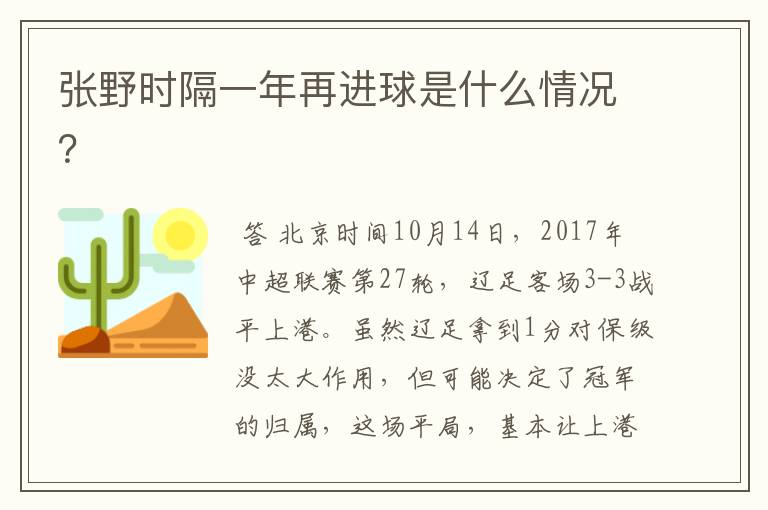 张野时隔一年再进球是什么情况?