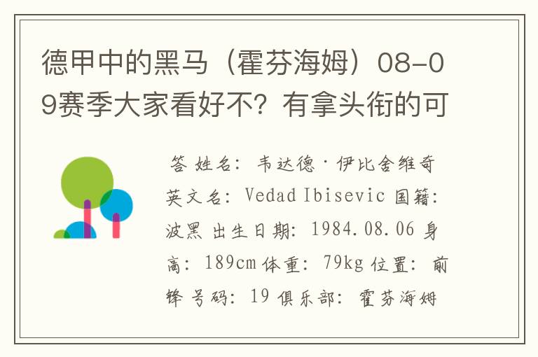 德甲中的黑马(霍芬海姆)08-09赛季大家看好不?有拿头衔的可能吗?