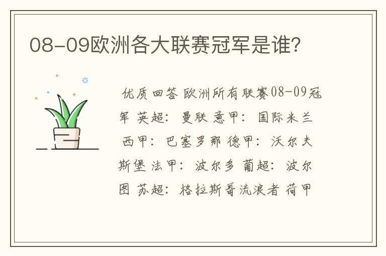 08-09欧洲各大联赛冠军是谁?