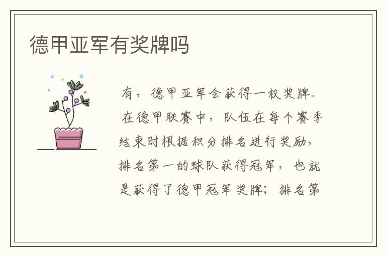 德甲亚军有奖牌吗