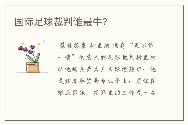 国际足球裁判谁最牛?