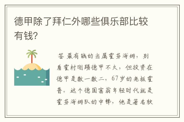 德甲除了拜仁外哪些俱乐部比较有钱?