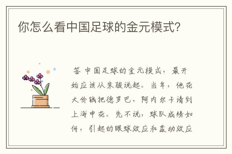 你怎么看中国足球的金元模式?