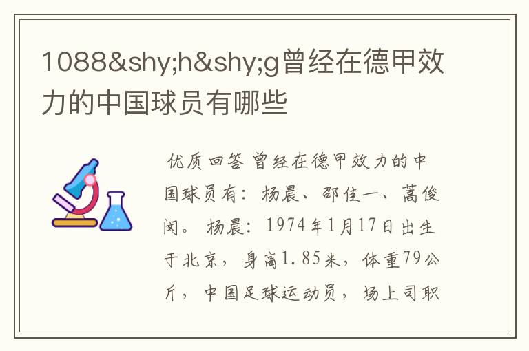 1088hg曾经在德甲效力的中国球员有哪些
