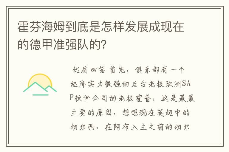 霍芬海姆到底是怎样发展成现在的德甲准强队的?