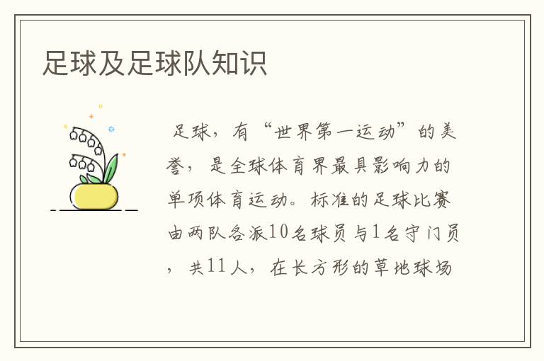 足球及足球队知识