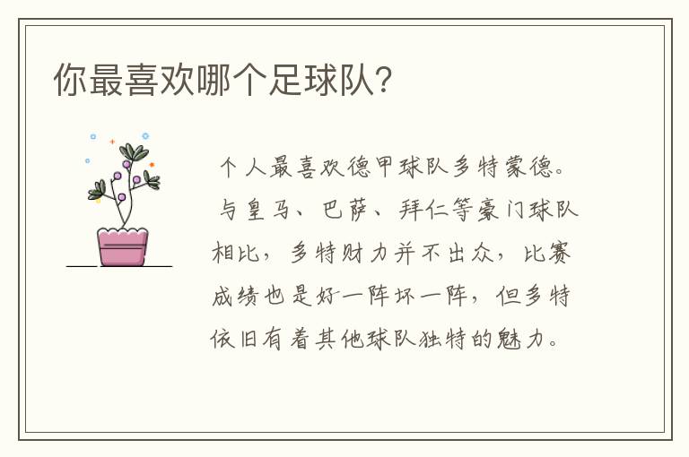 你最喜欢哪个足球队?