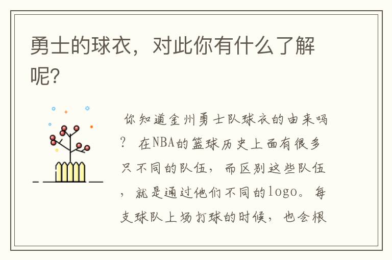 勇士的球衣,对此你有什么了解呢?