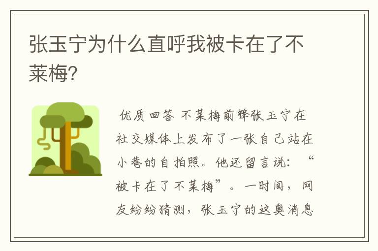 张玉宁为什么直呼我被卡在了不莱梅?
