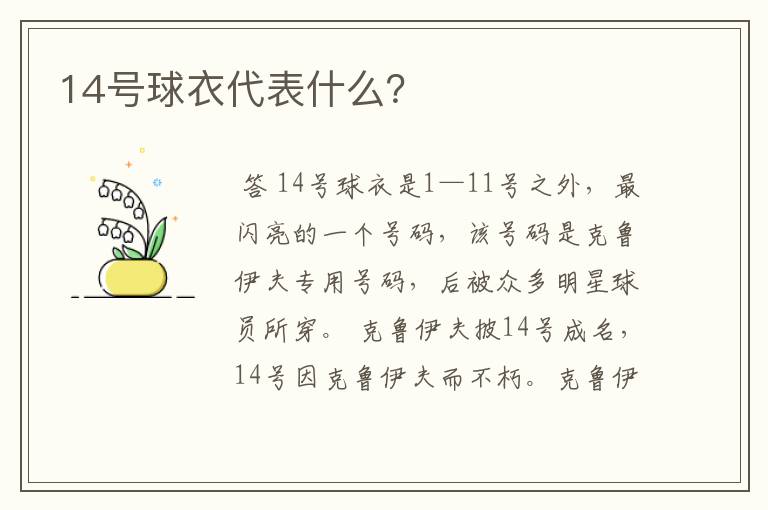 14号球衣代表什么?