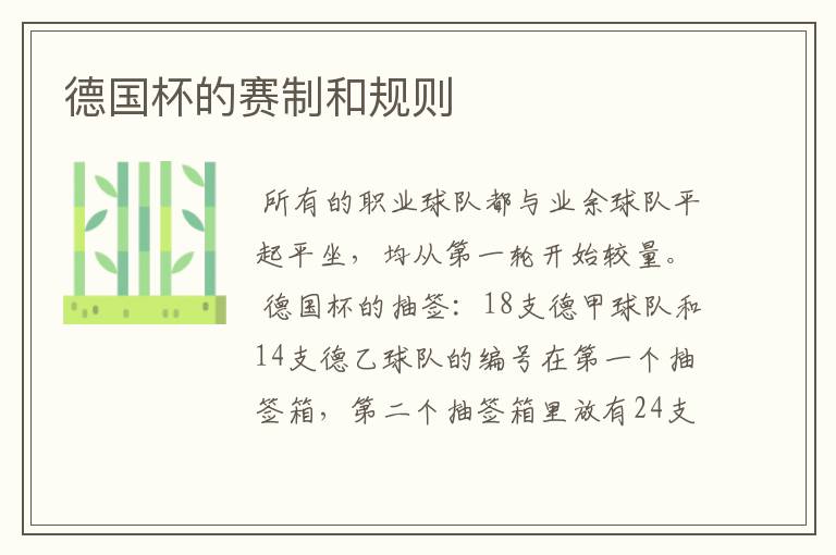 德国杯的赛制和规则