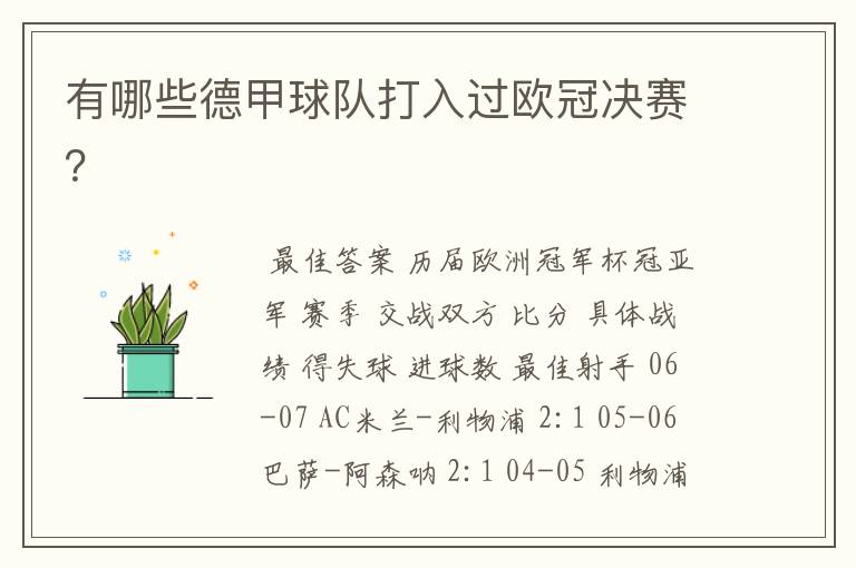 有哪些德甲球队打入过欧冠决赛?