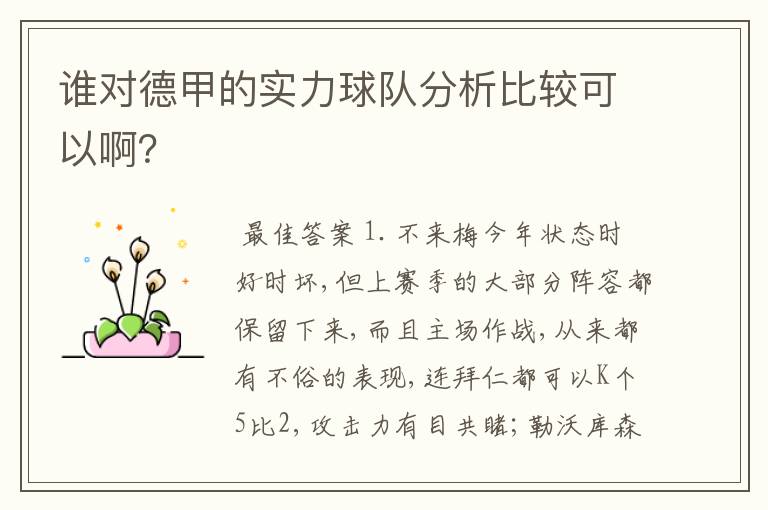 谁对德甲的实力球队分析比较可以啊?