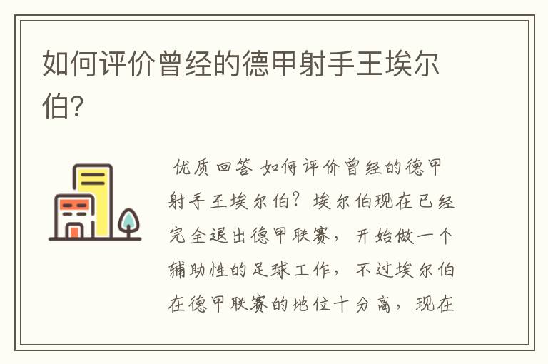 如何评价曾经的德甲射手王埃尔伯?