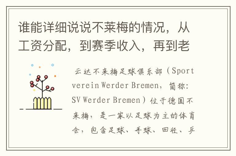 谁能详细说说不莱梅的情况,从工资分配,到赛季收入,再到老板情况以及球队历史。