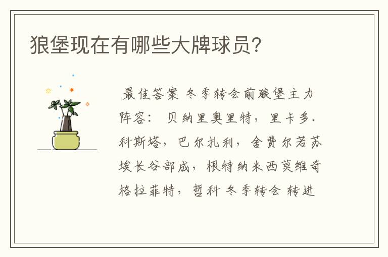 狼堡现在有哪些大牌球员?
