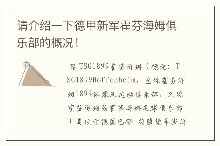 请介绍一下德甲新军霍芬海姆俱乐部的概况!