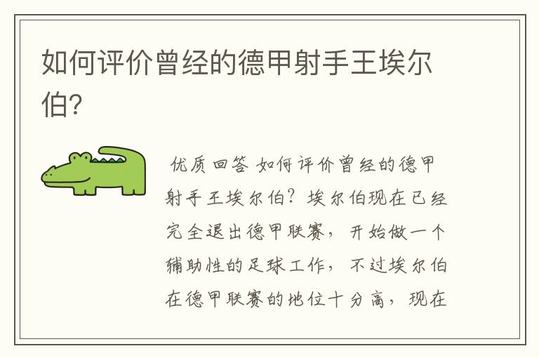 如何评价曾经的德甲射手王埃尔伯?